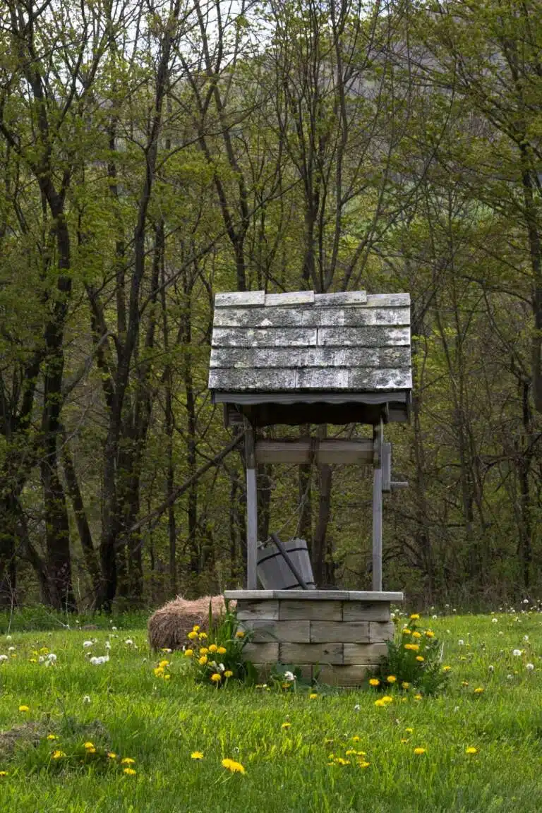Vieux puits en pierre dans un pré, eau de puits ou de forage